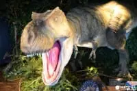 Henn Na Hotel In Chiba: See Dinosaurs And Robots Close Up!
