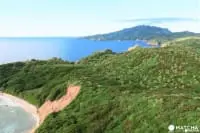 【小笠原群島】一起去「母島」探尋戰爭遺址及自然絕景