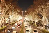 東京表参道聖誕燈飾活動！香檳色大道&極光階梯一次滿足