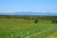 Obihiro: 23 Places to Visit, Sweets, and Dining Facilities