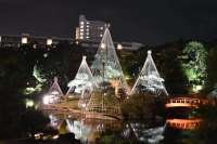 Near Tokyo! Captivating Lights and Culture at Mihamaen Garden This Autumn