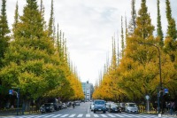 東京・外苑前のおしゃれカフェ11選。モーニング、ひとり時間が楽しめるスポットも