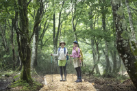 From virgin forests to wildflowers, autumn leaves, and a world of silvery white snow! Enjoy the four seasons of the Chugoku Mountains on the Shimizu Trail
