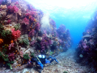 【2025最新】爱南小镇8项水上活动