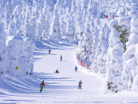 【日本滑雪新手指南】滑雪怎麼才不會跌倒？單板 vs 雙板一次看懂＋技巧秘訣