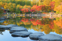 【2025】東京「昭和紀念公園」賞楓攻略｜最佳時期、熱門景點與夜間燈光秀資訊