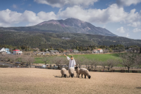 Things to Do in Miyazaki: A Guide to the Prefecture's Family-Friendly Gems