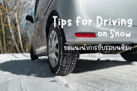 Essential for traveling to Japan in the winter! Driving advice on snowy roads - Hokuto City , Yamanashi Prefecture Prefecture -