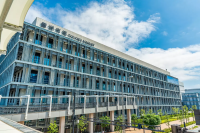 Toyosu Market: What to Eat, Opening Hours, and Tuna Auctions