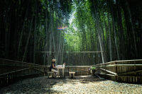 Discover the Bamboo Forest Highway! Take a relaxing trip to the Minoda area of ​​Matsusaka City , Mie Prefecture