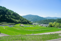 4 recommended natural spots in Matsusaka City , Mie Prefecture for those who want to refresh themselves