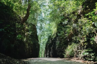 Refresh yourself in the great outdoors! " MEZURASHI mountain pass Walking" in Matsusaka City, Mie Prefecture