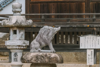 A sacred place for the popular anime "Demon Slayer: Kimetsu no Yaiba"? A thorough explanation of the charms of Okayama"Waki Shrine"