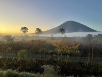 4 Recommended Autumn Foliage Spots in Niseko, Hokkaido