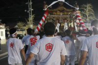 【2025】Top Things to Do in Nishinoshima This Summer: Matsuri