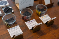 [hibi] 距離藏前站步行2分鐘，融合新舊元素的時尚香店