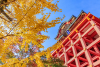 一般社団法人祐徳奉賛会