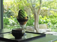 銀座・歌舞伎座に佇む「寿月堂」：隈研吾建築で味わう日本茶と和スイーツ