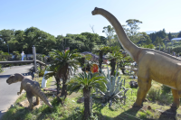 带孩子一日游的绝佳选择！伊豆热门景点“伊豆格兰帕尔公园”完全攻略