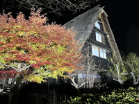 Direct access from Nagoya | Gero Onsen Gassho Village History Experience