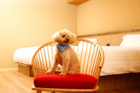 แนะนำโดยชาว โอคายาม่า! 5 สถานที่ท่องเที่ยว ร้านค้า และที่พักที่คุณสามารถพาสัตว์เลี้ยงของคุณไปเยี่ยมชมได้