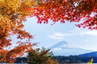 [Nagano/Yamanashi] Autumn Travel - Complete Guide to Autumn Foliage Viewing | Recommended Spots You Can't Miss