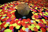 Sōunkyō Miracle Illumination: Japan’s Earliest Fall Foliage