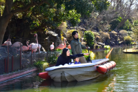 [The only place in Japan!] Get up close and personal with animals on a boat! Izu Shaboten Zoo
