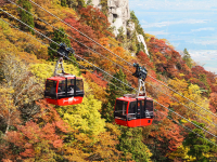 Gozaisho Ropeway: Best Autumn Foliage Spot Near Nagoya & Osaka
