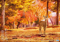 【前往奈良，近鐵最方便！】從新幹線/JR京都站到近鐵京都站的交通方式