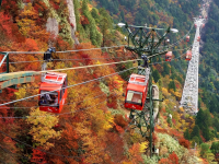 如何前往御在所索道，欣赏三重县的壮丽秋景