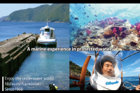 Ehime National Park | Marine Activities. Ainan Town - Nishikai Sightseeing Boat [1/4]