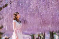 Okayama Date Spots [Spring] | Enjoy a Spring Holiday with Cherry Blossom Viewing and a Drive