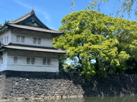 สถานที่ห้ามพลาดใน โตเกียว (การท่องเที่ยว โตเกียว ฮิกาชิ ) | แนะนำสถานที่ห้ามพลาด