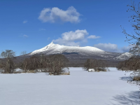 ฤดูหนาวในตอนกลางและตอนใต้ของ ฮอกไกโด: สรุปสถานที่ท่องเที่ยวแนะนำใน ซัปโปโร โอตารุ และ ฮาโกดาเตะ