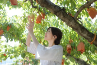 Okayama Date Spots [Summer] | A Refreshing Date with the Sea and Fruit Picking