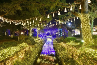 Okayama Date Spots (Winter) | Night Views, Hot Springs, Strawberry Picking, and Oyster Delicacies