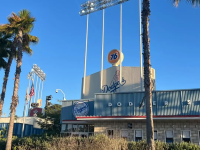 2025 年日美韓台職棒總冠軍系列賽總整理