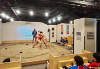 Tokyo Sumo Festival: Your Hands-On Pass to Japan's National Sport