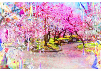 KYOTO NIPPON FESTIVAL 2026: Lights, Flowers and Performances