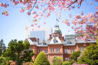 Sapporo Guide: Best Places to Visit, Food, Weather, and Tips