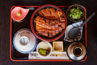 9 Best Fermented Restaurants Around Nagoya: From Fine Dining to Local Specialties