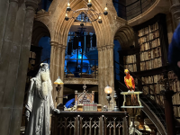 ทัวร์สตู โตเกียว| คู่มือเที่ยว ไซตามะ กับแฮร์รี่ พอตเตอร์