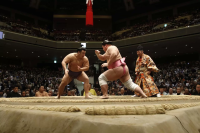 Sumo Wrestling in Osaka and Tokyo: 6 Best Experiences