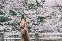 Weather in Tokyo by Month and What to Wear