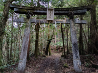 [ Tosashimizu City, Kochi Prefecture ] How to get to Izu Shrine and important points to note