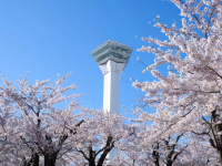 Goryokaku Tower in Hakodate: Views, Access, History, Tickets