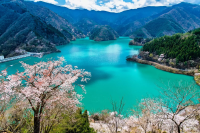 本当に東京都？大自然に囲まれた奥多摩エリアの7つの魅力