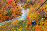 Chasing Autumn Colors: 6 Elegant Hotels Near Fall Foliage Spots
