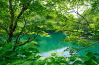 【山形藏王】夏季是遊覽藏王的最佳時節！帶您領略高原度假勝地的溫泉、迷人景色和美食。